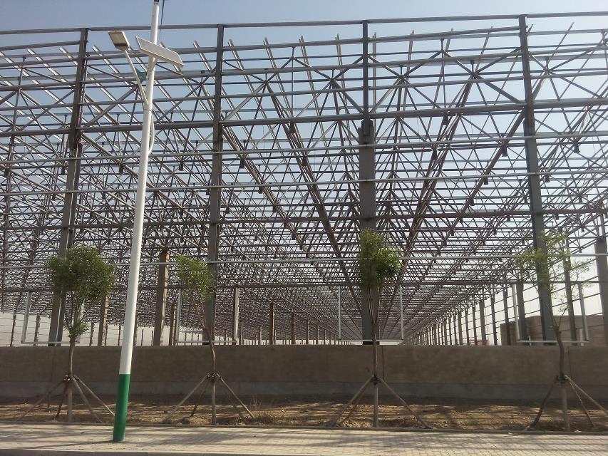 东兴汽车工业厂房网架